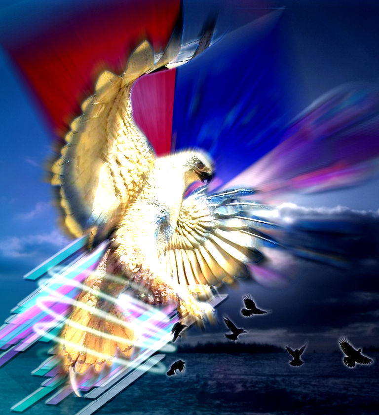 Hawk Abstract The Hawk of Abstract Creation by zeroxdestroyer on DeviantArt