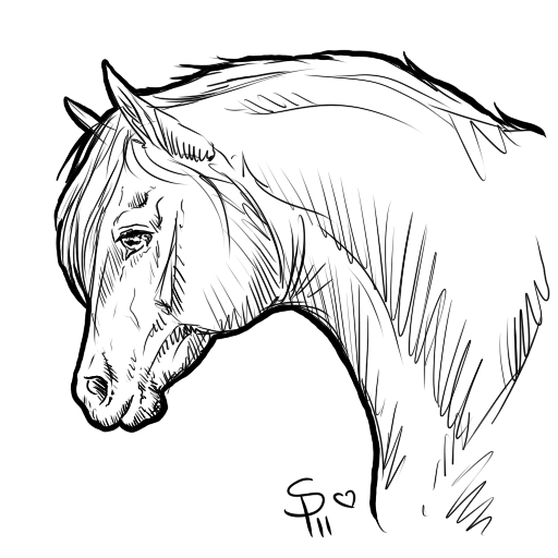 Horse Scribble