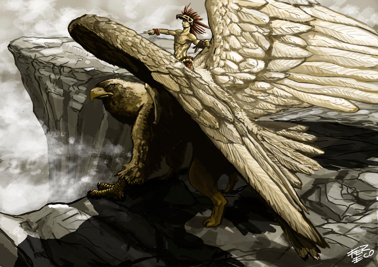 Griffin Rider Griffin Rider by ecoabismo on DeviantArt