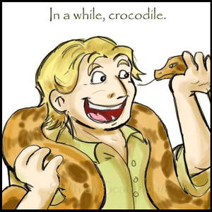 Steve Irwin