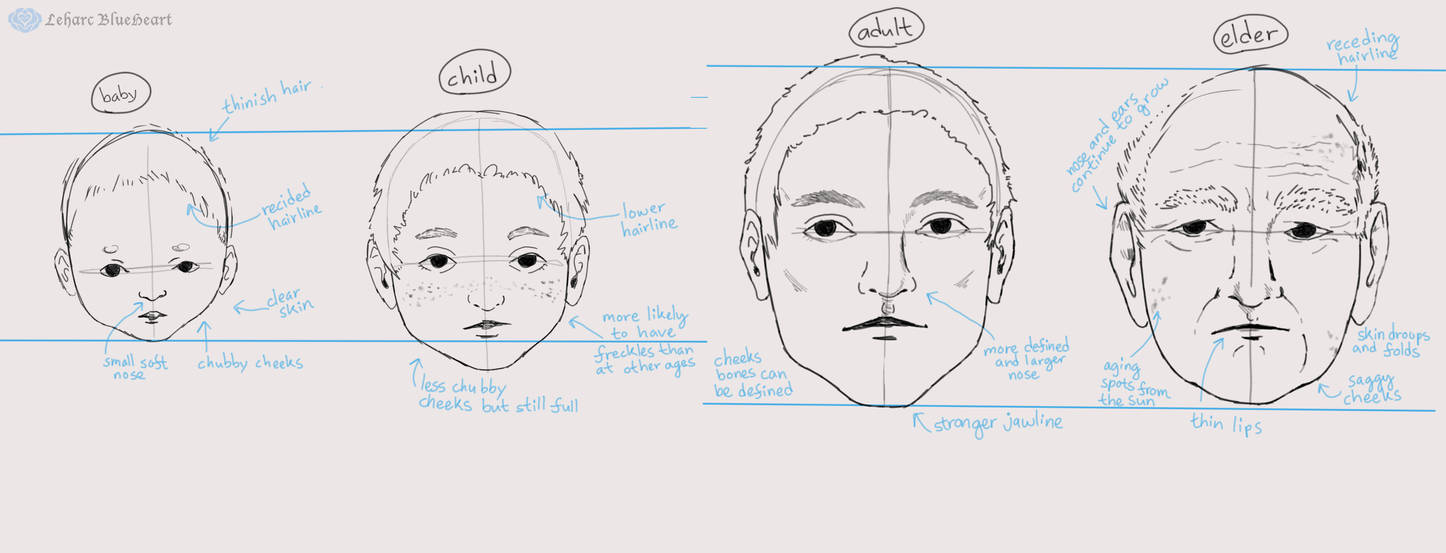 Drawing Different Ages: Face by Leharc--BlueHeart on DeviantArt