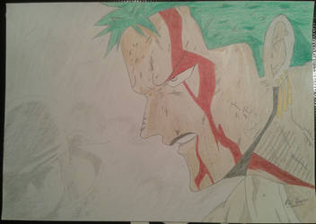 Roronoa Zoro - About Protecting