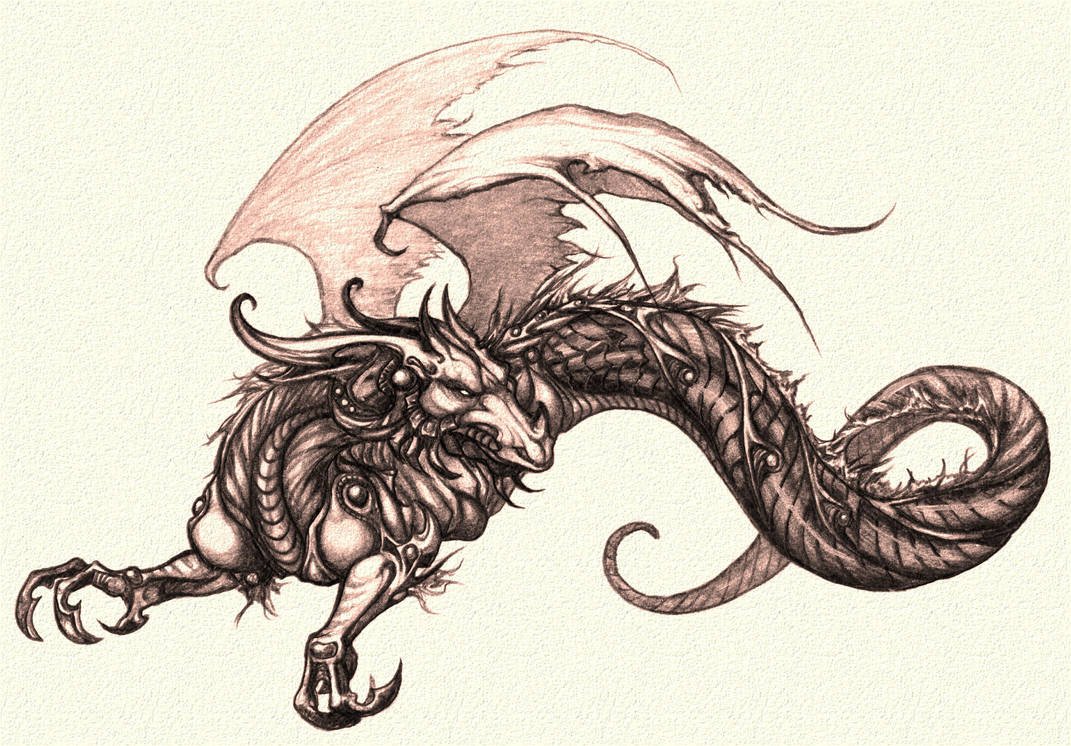 DC Dragon 1 by Chernobylpets by Altered-Anatomy-Club on DeviantArt