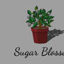 Sugar blossom 