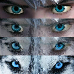 Jack Frost turns into wolf