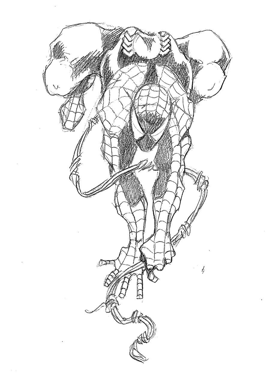 Spider-man tattoo design