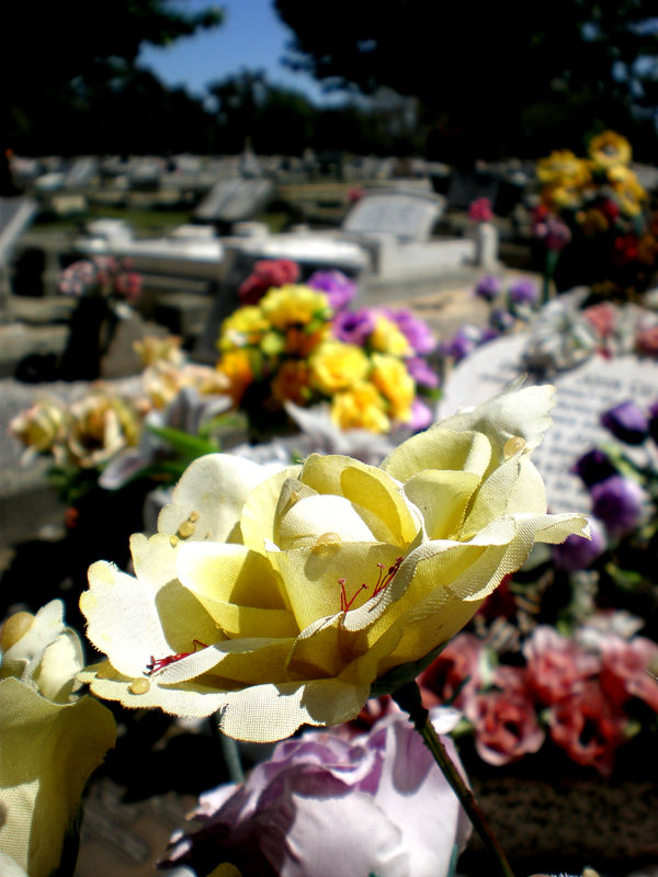 South Guildford Cemetery 17