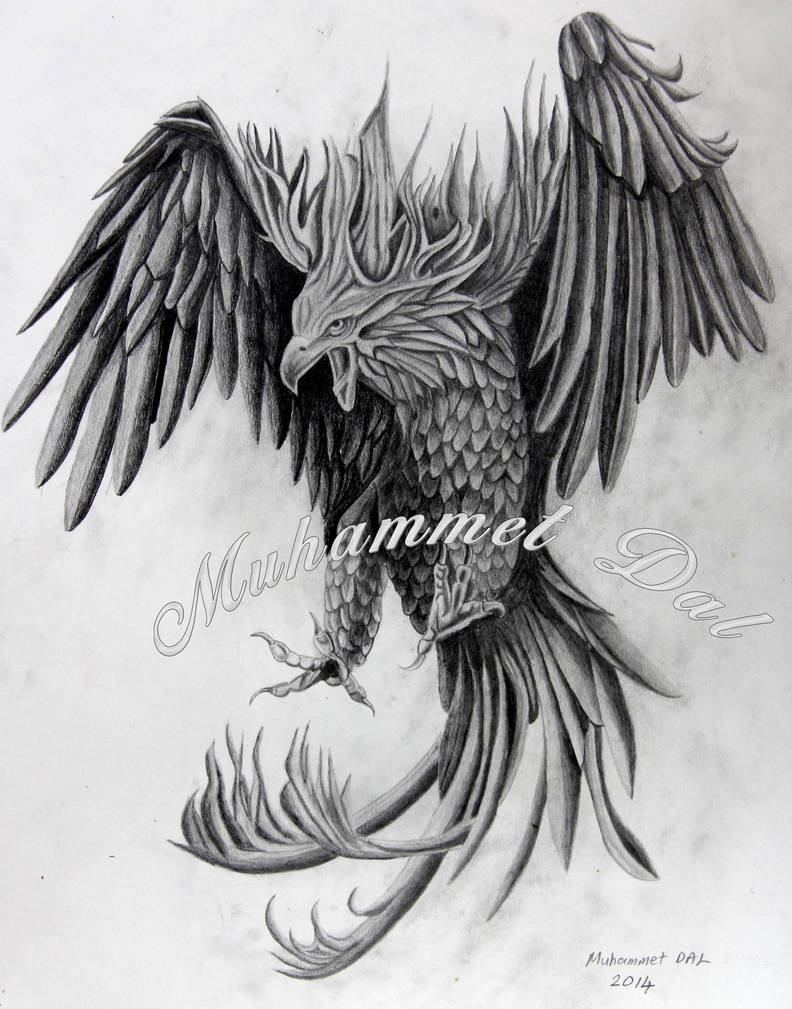 Phoenix by muhammetdal Phoenix by muhammetdal