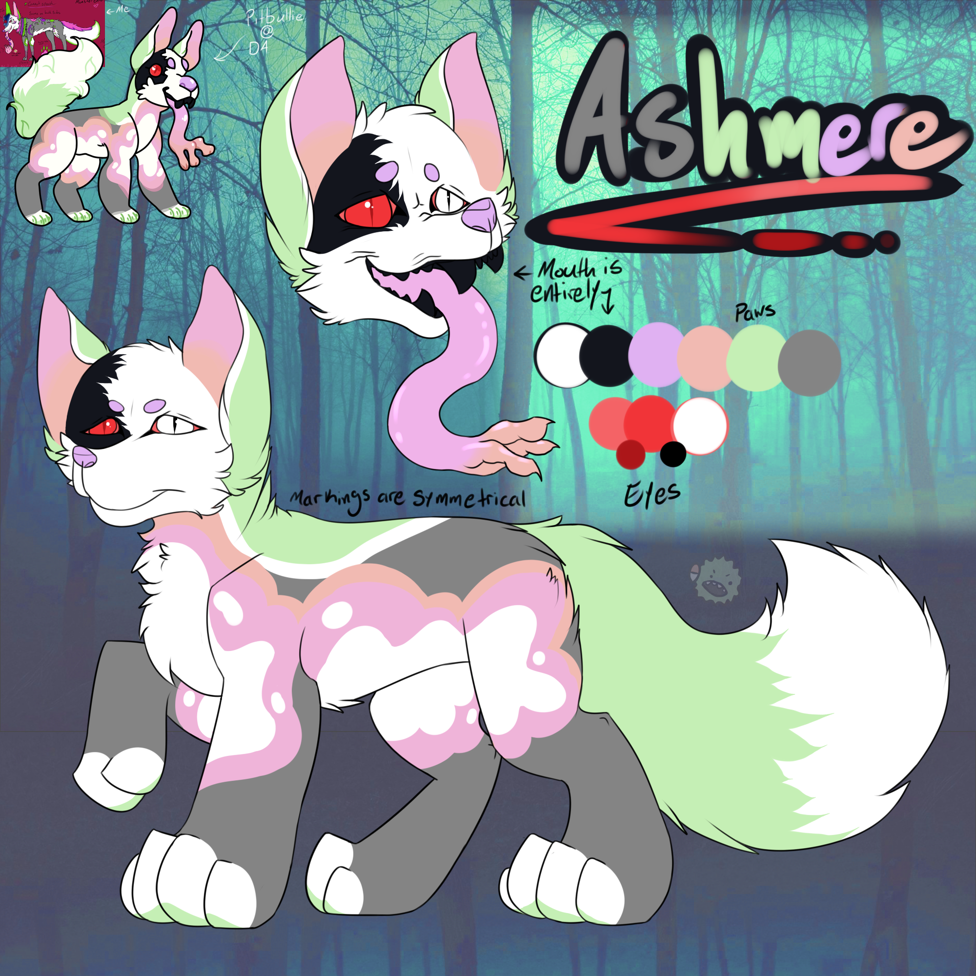 NEW Ashmere Ref!