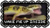 Free to Use: Wake Me Up Inside Gecko stamp! by MonsterMeds