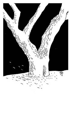 big tree.
