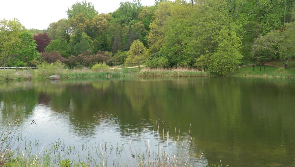 Holmdel Park - Pond - 5/16/16 by sonicShel on DeviantArt