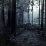 Forest Premade-2