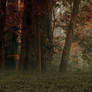 Premade Forest3