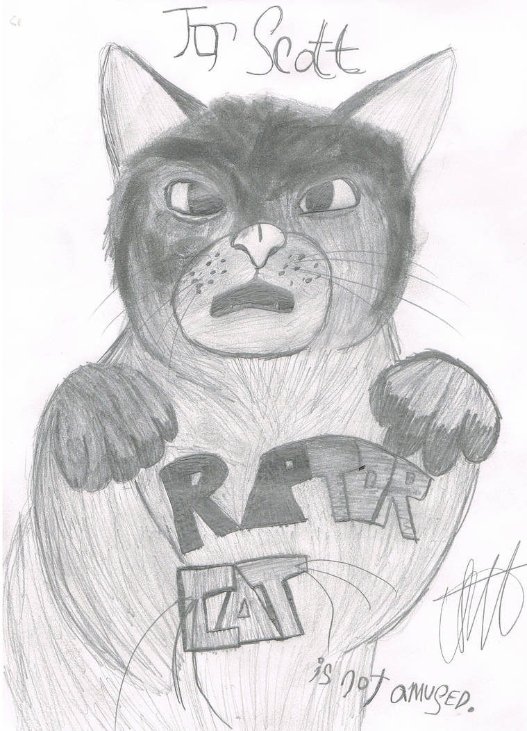 Raptor cat by slightlyhipster on DeviantArt