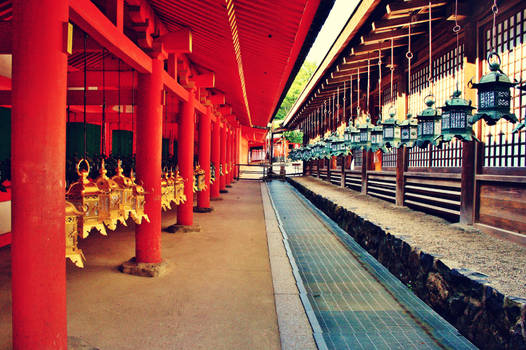 Kasuga Taisha Lamps