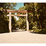 Meiji Shrine Tori