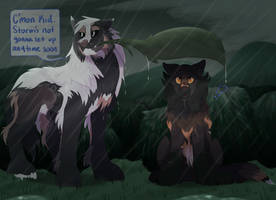 DotW | Stormy Weather