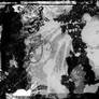 x texture - one