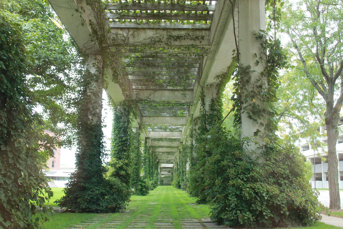 Ivy Arcade 2 by eleutheria-stock Ivy Arcade 2 by eleutheria-stock