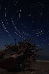 Startrail Study