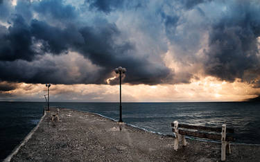 cynop User Profile | DeviantArt