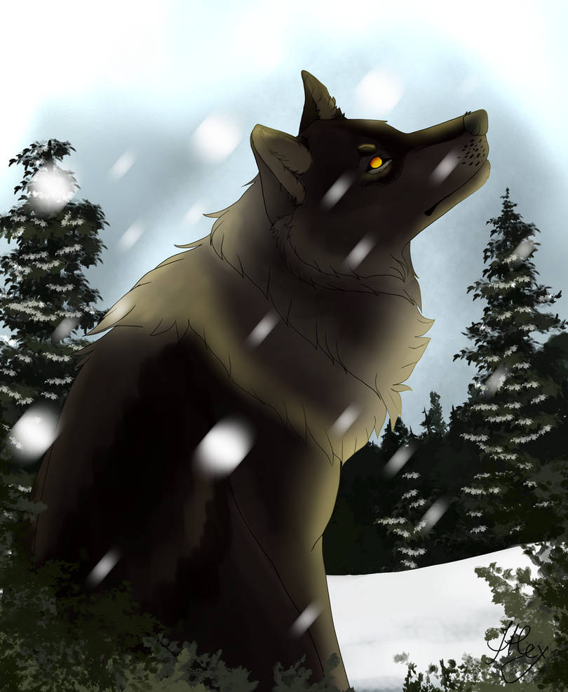 SVA Worth Your Pride MCC By Crazy0wll On DeviantArt sva-worth-your-pride-mcc-by-crazy0wll-on-deviantart
