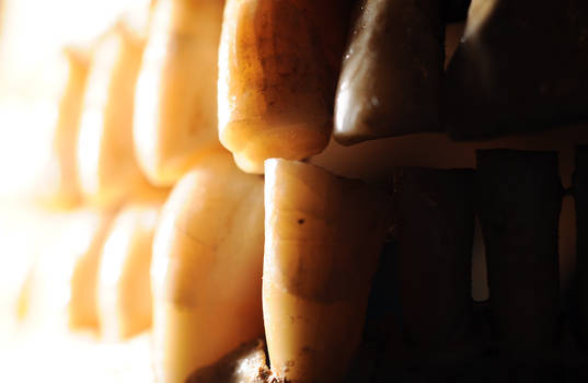 Human Skull macro teeth