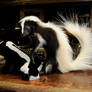 Skunk mount