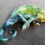 New Chameleon!