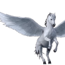 Tristar Pegasus 2015-present