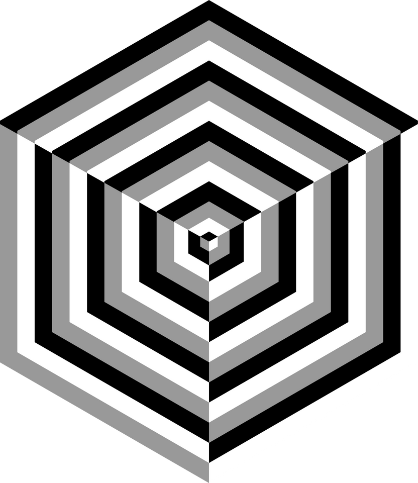 Optical Illusion Cube By BraydenNohaiDeviant On DeviantArt