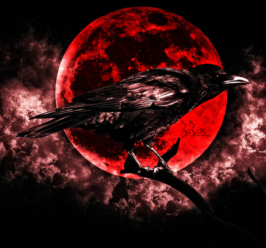 Raven by destroyer971 Raven by destroyer971