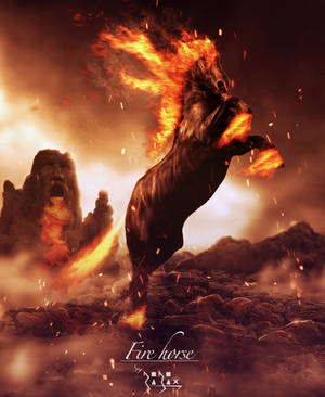 Fire Horse by destroyer971 Fire Horse by destroyer971