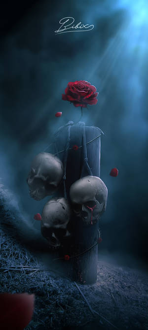 Reborn / The Death's Rose