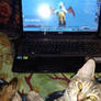 Warcraft Kitties