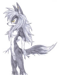 Kazumi in Wolf form