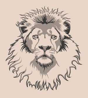 Lion head tattoo WIP