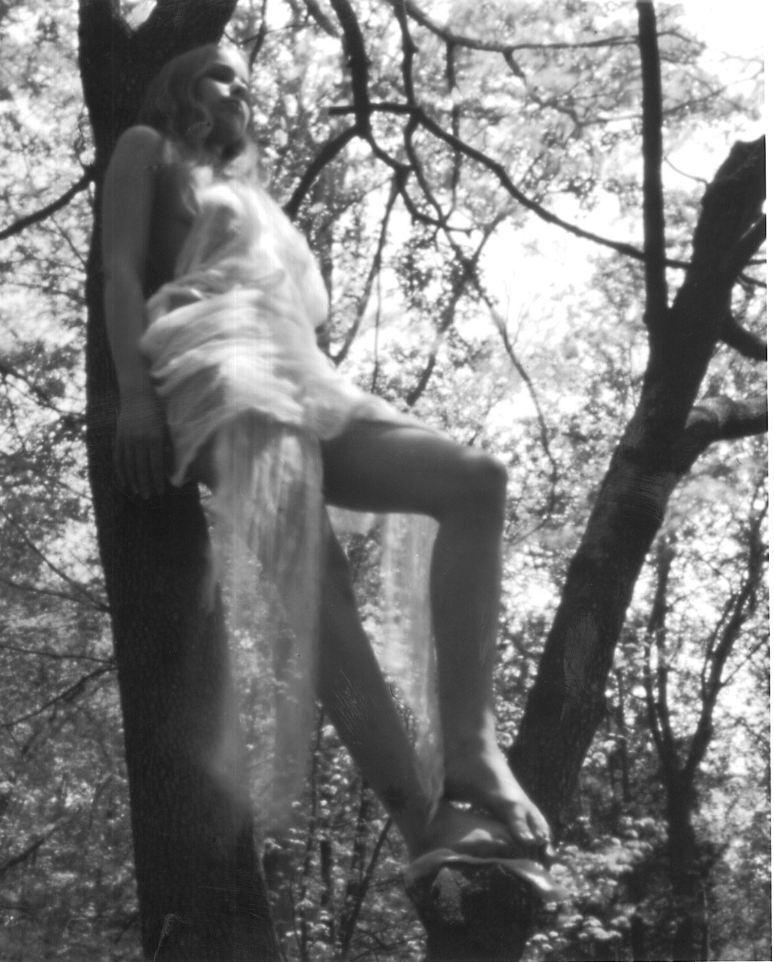 Pinhole Wood Nymph 2 bw