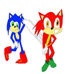 Sonic And Hero Wedgie