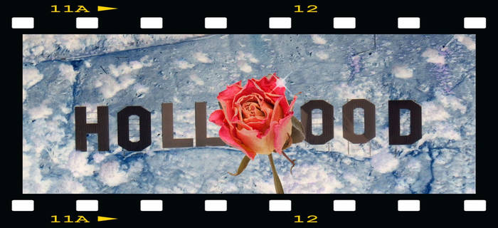 Hollywood Rose