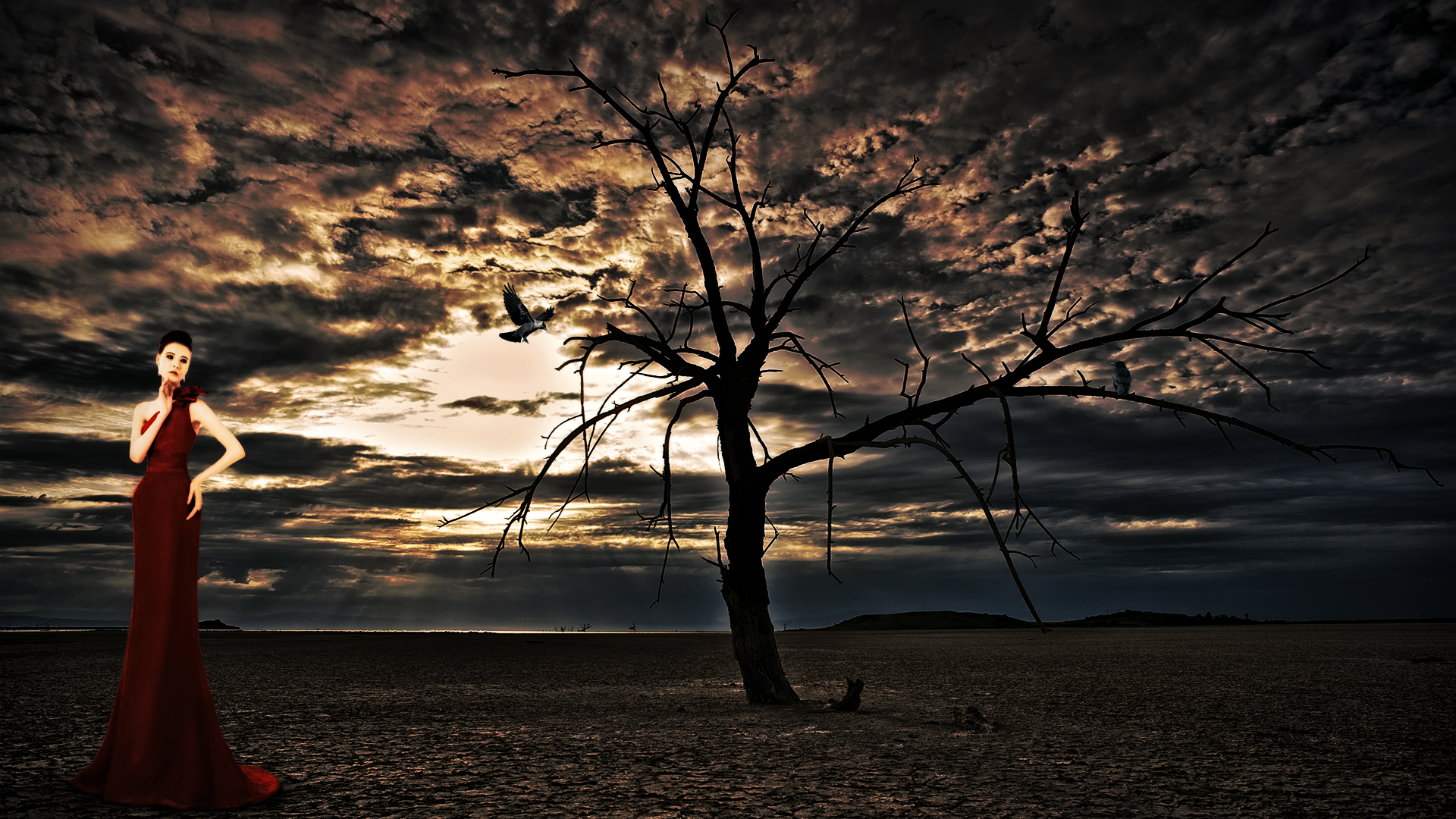 sandstone barrens