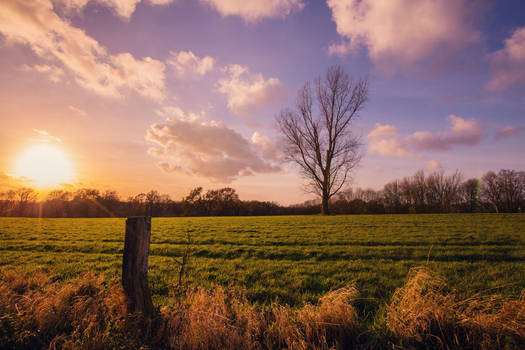 Winter Sunset