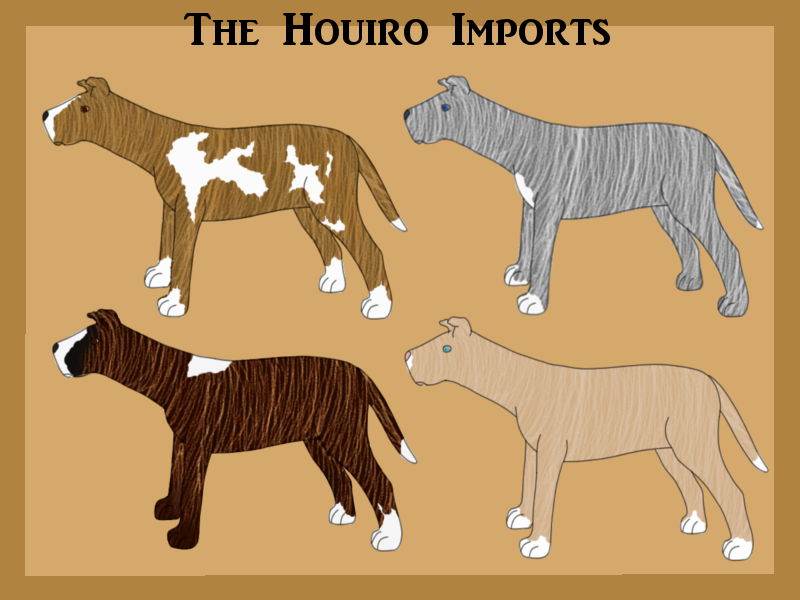 Houiro Import Sheet