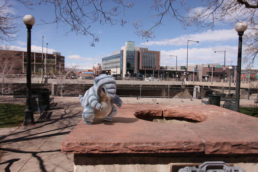 Alolan Sandshrew in Denver