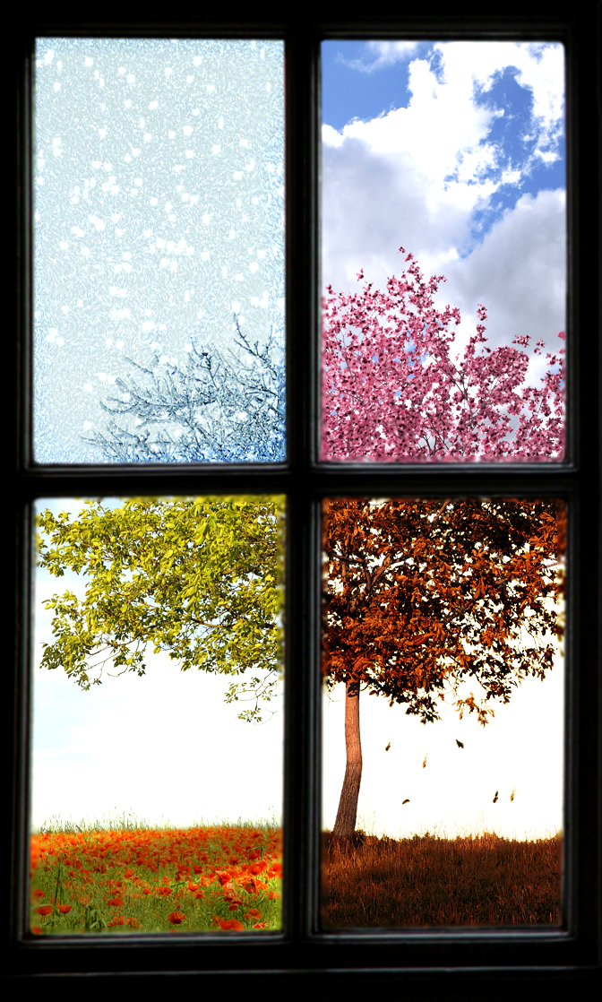 Seasons in my window