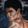 taylor lautner jacob black