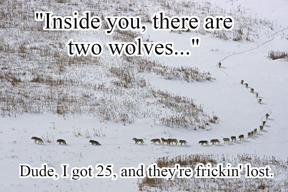 Two Wolves Cringe Two-wolves by ambiguous0ne on DeviantArt