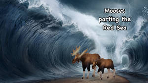Mooses parting the Red Sea