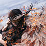 One Winged Riot